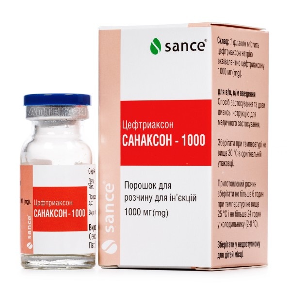 sanakson-plus-1000