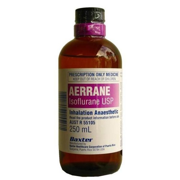 aerrane-p-yn-100
