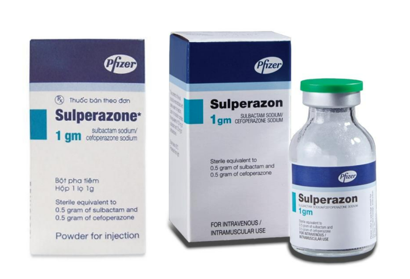 sulperazon-1-g-proszek-500-mg-500-mg