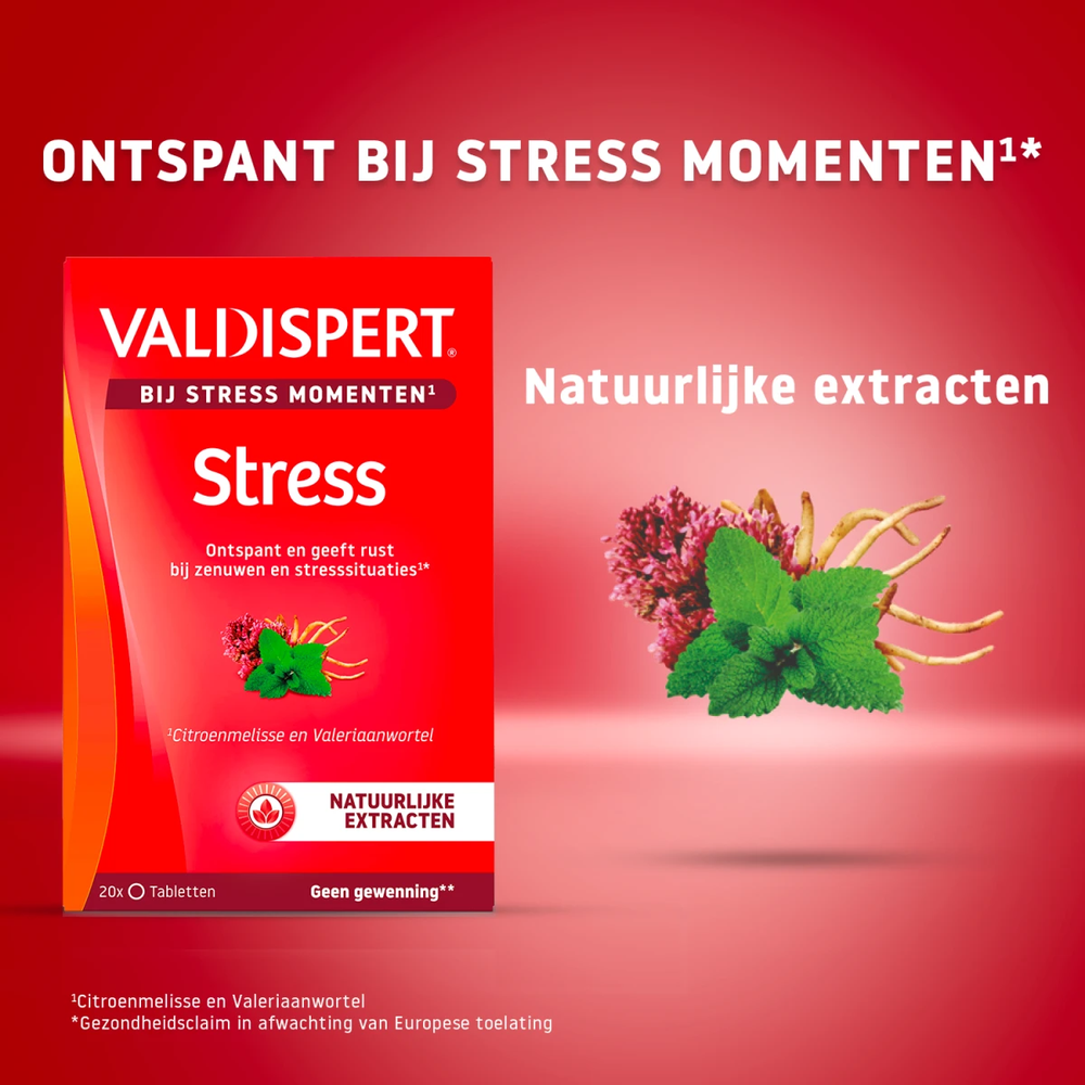 valdispert-stres-tabletki-200-mg-68-mg