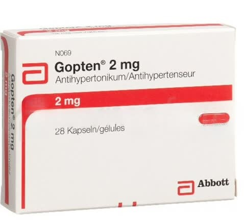 Гоптен 2,0
