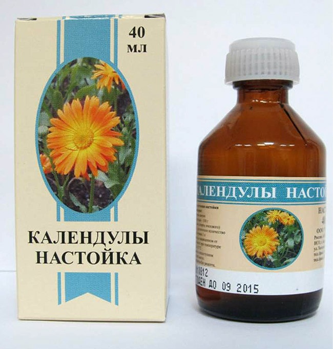 KALENDULI NASTOJKA