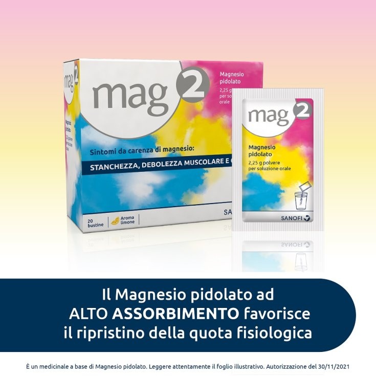 MAG 2