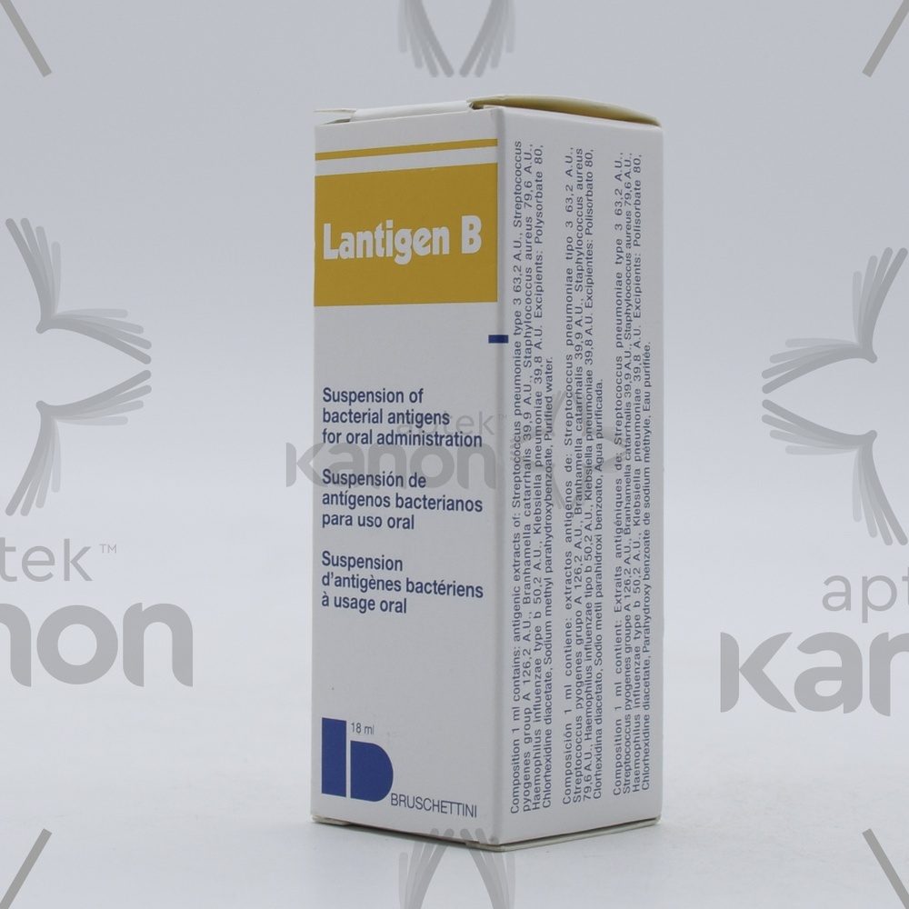 LANTIJEN B