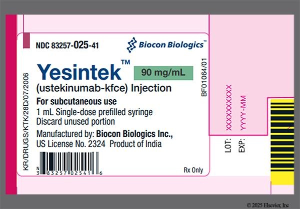 YESINTEK
