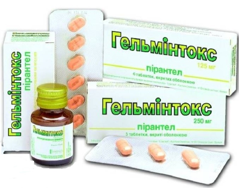 gelmintoks