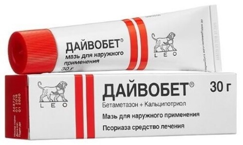 dajvobet