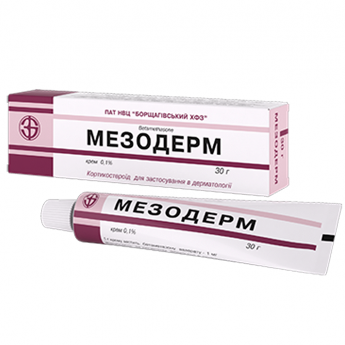 mezoderm